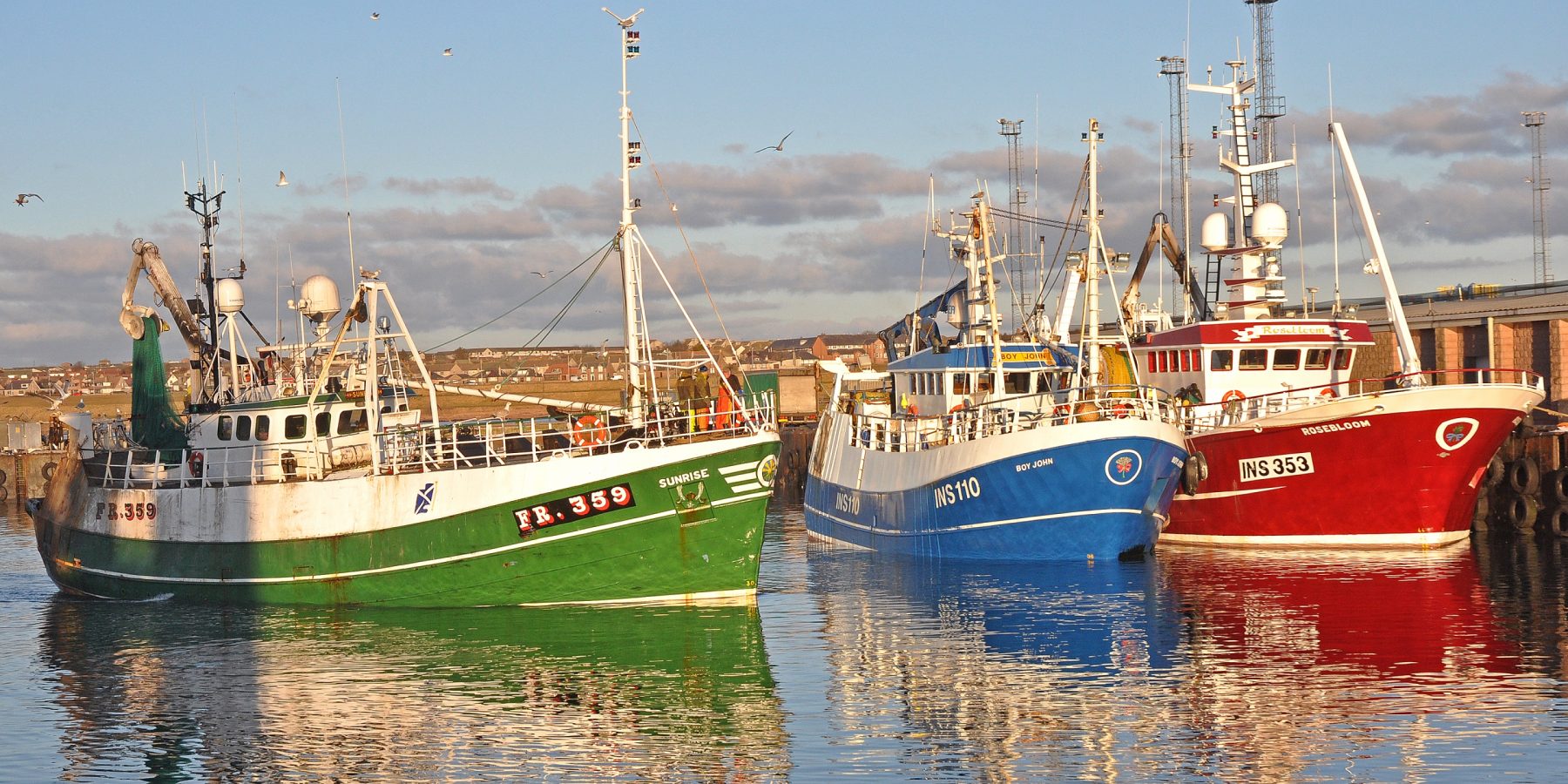 Weekly spreadsheets the scottish white fish producers association ltd